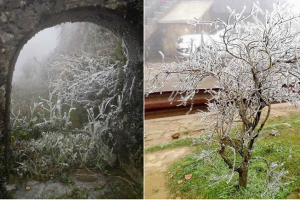 Dự báo thời tiết 2/1: Hà Nội rét cắt da, bão số 1 áp sát Cà Mau