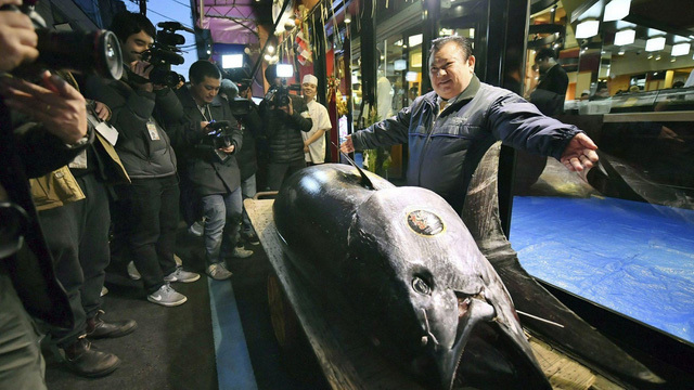 Con cá ngừ đắt kỷ lục: 300 kg giá 70 tỷ