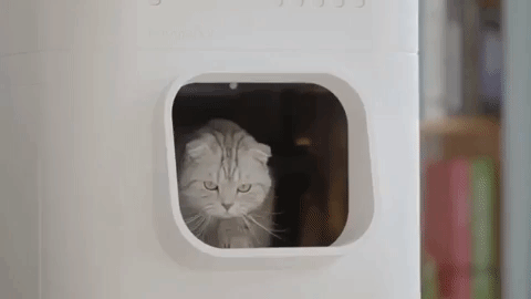 Thùng rác thông minh kiêm nhà vệ sinh tự động cho mèo