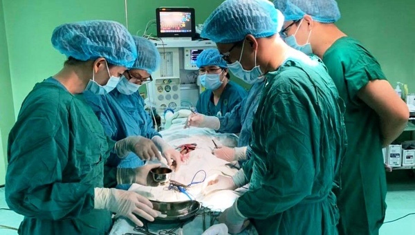Phẫu thuật tạo hình “cậu nhỏ” cho bệnh nhi dị tật bẩm sinh