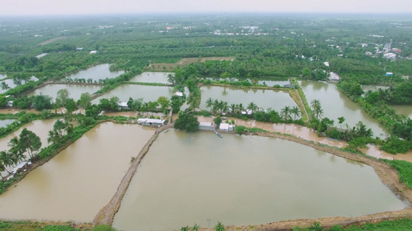 'Biệt Tài Tí Hon' tham quan nhà máy dầu ăn Ranee