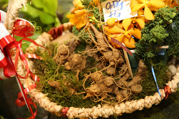 Triển lãm 'báu vật đại ngàn' kéo dài cả năm tại Bảo tàng lịch sử Quốc gia