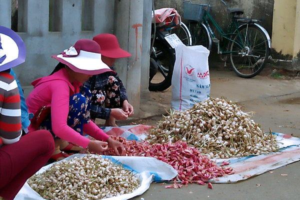 Dân đảo Lý Sơn: 1 cái Tết buốt ruột, nghĩ đến thêm đắng lòng
