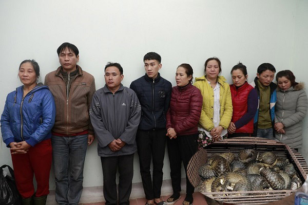Bộ Công an đột kích điểm nuôi nhốt tê tê lớn nhất Hà Tĩnh