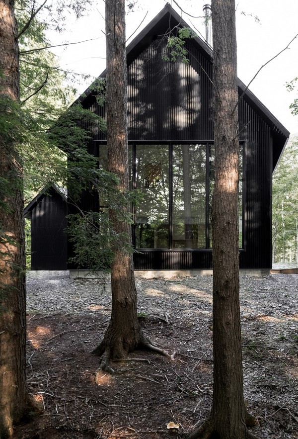 Gợi ý tuyệt vời cho đại gia thích làm nhà trong rừng