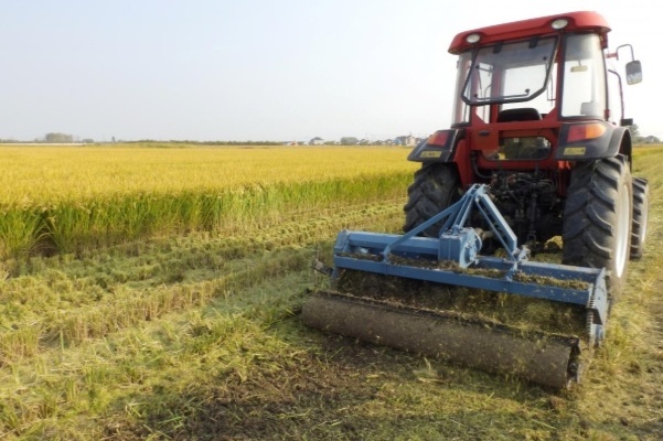 Cuộc ‘cách mạng’ tự động hóa nông nghiệp ở Trung Quốc