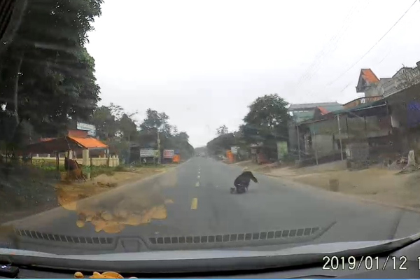 Nếu lơ đãng 1 giây, tài xế này đã cán qua bà cụ