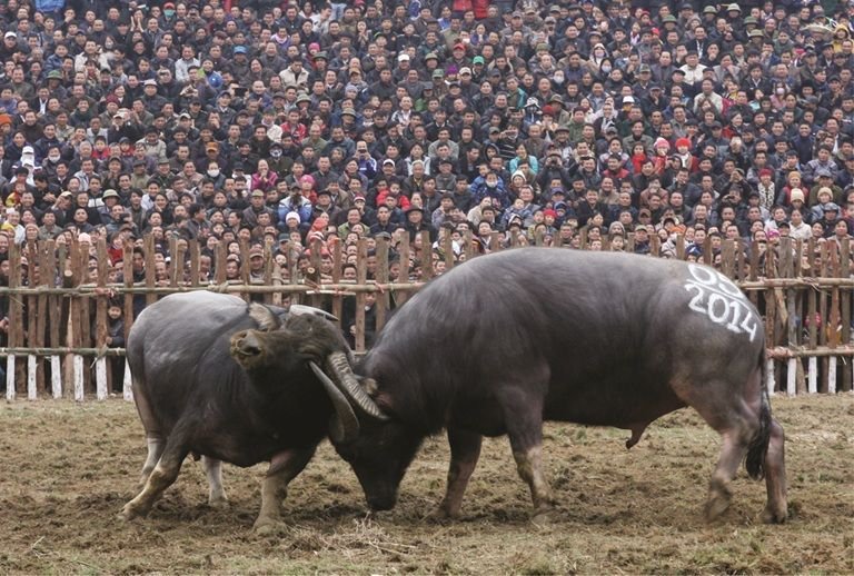 Soi kèo phạt góc Anh vs Đức, 1h45 ngày 27/9