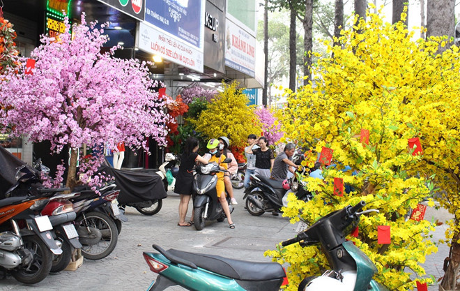 Mai, đào giả giá tới hàng chục triệu đắt hàng ở Sài Gòn
