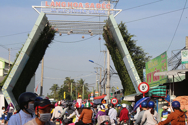 Ngắm vẻ đẹp trăm hoa đua nở ở làng hoa lớn nhất miền Tây