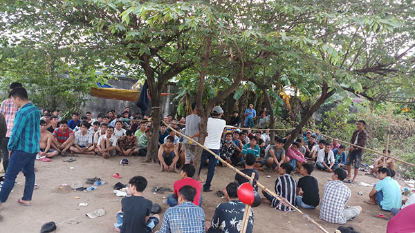 Bắt 119 đối tượng ở trường gà vùng ven Sài Gòn