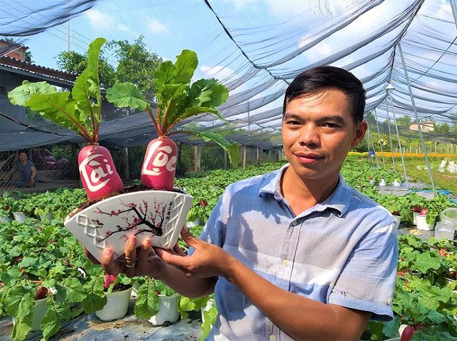 Củ cải 'hồng phát' độc đáo chưng Tết ở Bến Tre