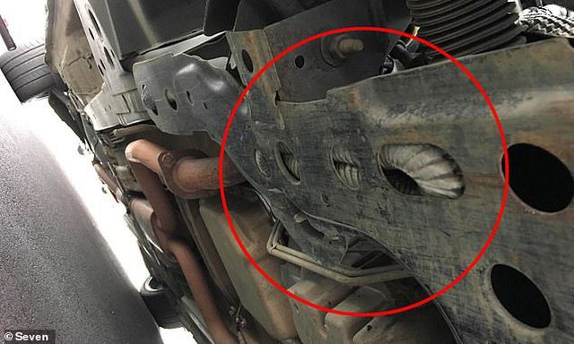Kinh hãi phát hiện rắn kịch độc ẩn náu bên dưới xe để tránh nóng