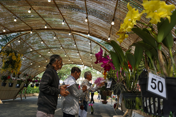 Hội thi Hoa cảnh - Sân chơi thú vị chào Tết 2019