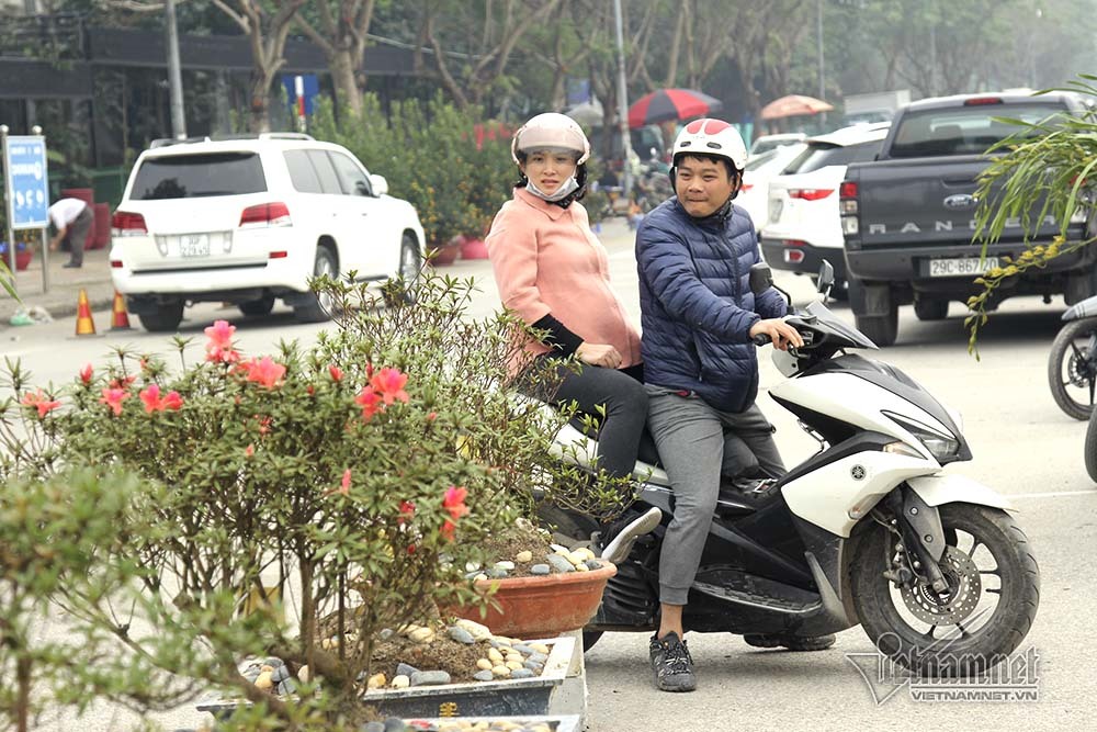 Tuyệt phẩm 'lứa đôi' nghìn bông trưng Tết ngót tỷ mới bán
