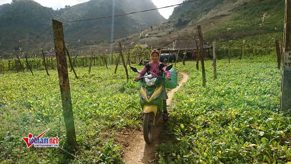 Mùa xuân không tiếng súng nơi 'thánh địa ma túy' Tà Dê