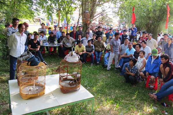 Hồi âm đơn thư Bạn đọc cuối tháng 1/2019