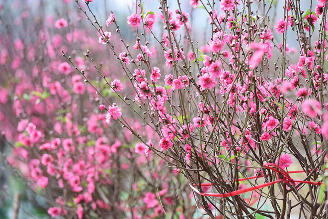 Chọn tuổi xông nhà, xông đất mang lại tài lộc năm 2019