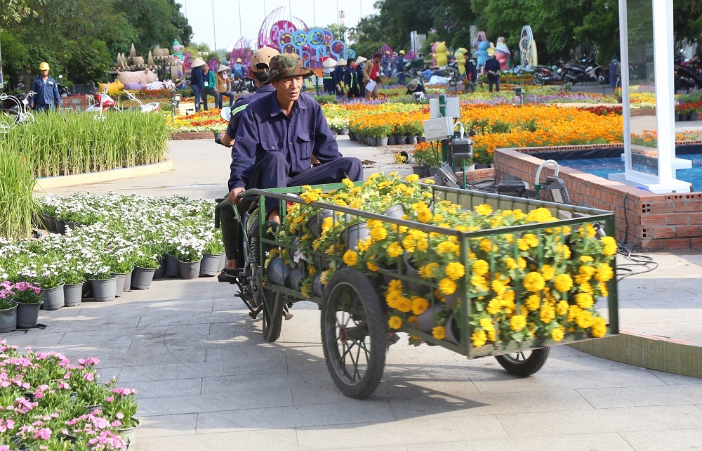 Cận cảnh đường hoa Nguyễn Huệ trước giờ khai mạc đón Tết Kỷ Hợi