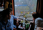 Cảnh lãng mạn trên chuyến tàu đưa người phương Nam về miền Bắc đón Tết