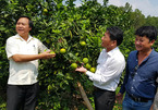 'Tôi muốn chữa bệnh nghèo cho nông dân'