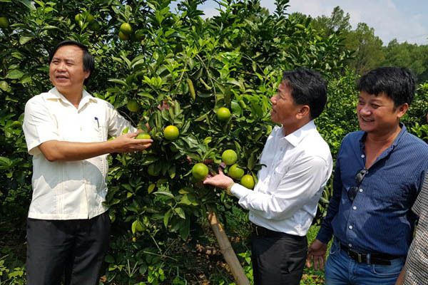 'Tôi muốn chữa bệnh nghèo cho nông dân'