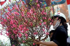 Tết làm điều này, ai cũng thấy vui