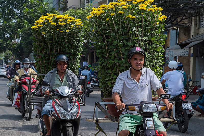 Chợ hoa Tết rực rỡ trên sông