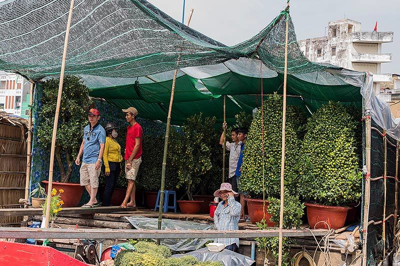 Chợ hoa Tết rực rỡ trên sông