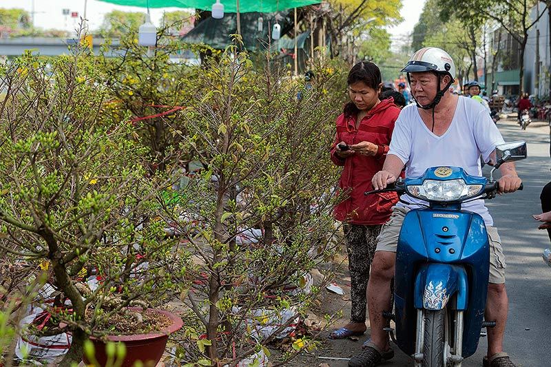 Chợ hoa Tết rực rỡ trên sông