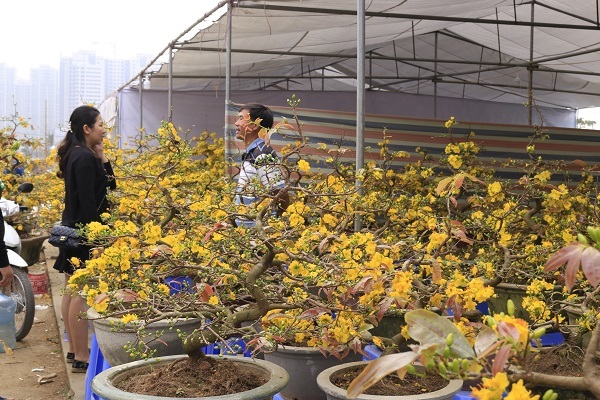 Rát mặt chiều 28 Tết: Màn trời chiếu đất, ôm lỗ 100 triệu Rát mặt chiều 28 Tết: Màn trời chiếu đất, ôm lỗ 100 triệu