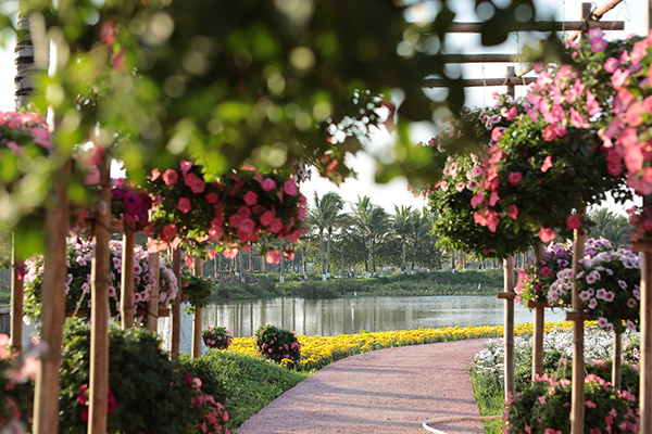 Du Xuân ‘sống ảo’ ở hội Xuân Ecopark