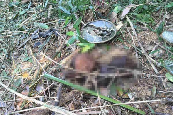 Hà Tĩnh: Người đàn ông chết trong rừng, nghi bị voi quật