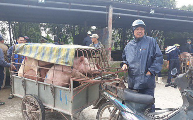 'Đệ nhất chợ lợn' ở Hà Nam