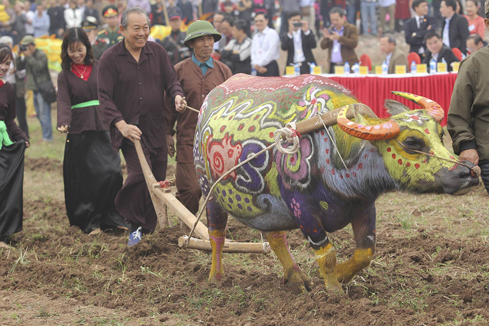 Phó Thủ tướng Trương Hòa Bình xuống đồng cày ruộng ở lễ Tịch điền