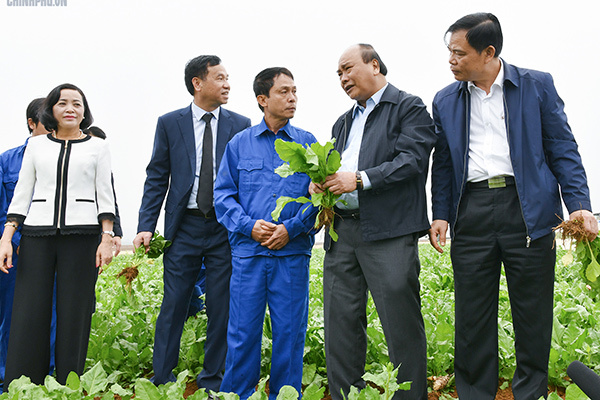 'Xông đất' ngành nông nghiệp, Thủ tướng kỳ vọng vào đòn bẩy chiến lược của VN