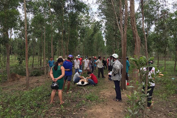 Phát hiện thi thể đang phân hủy cùng khẩu súng trong rừng sâu