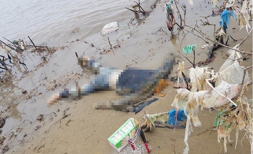 Thanh Hóa: Đi đánh cá phát hiện thi thể phụ nữ dạt vào bờ sông