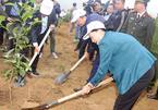 Chủ tịch Quốc hội tham dự lễ ra quân hưởng ứng Tết trồng cây