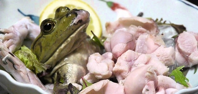 Sashimi ếch và sinh tố ếch sống thách thức sự can đảm của thực khách Ech-song-1
