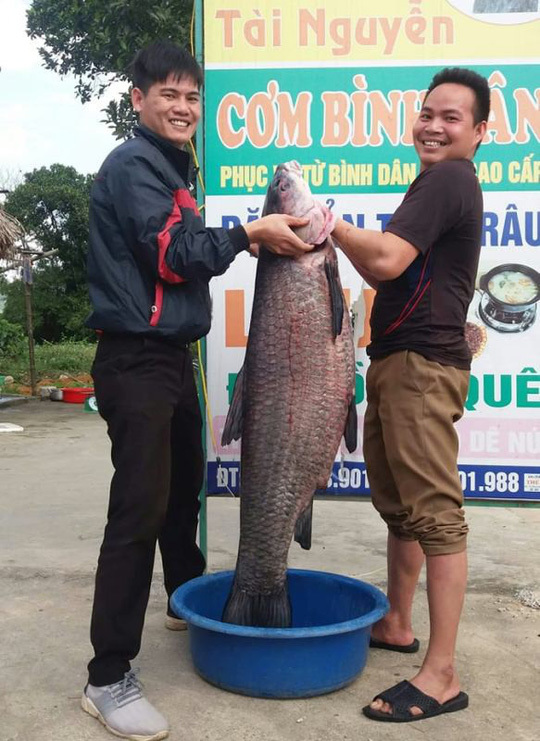 Bắt được cá trắm 'khủng' nặng 33kg, dài gần 1m hiếm có Ca-tram-den-3