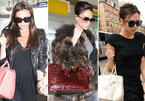 Victoria Beckham bị chỉ trích đạo đức giả vì dùng túi da động vật
