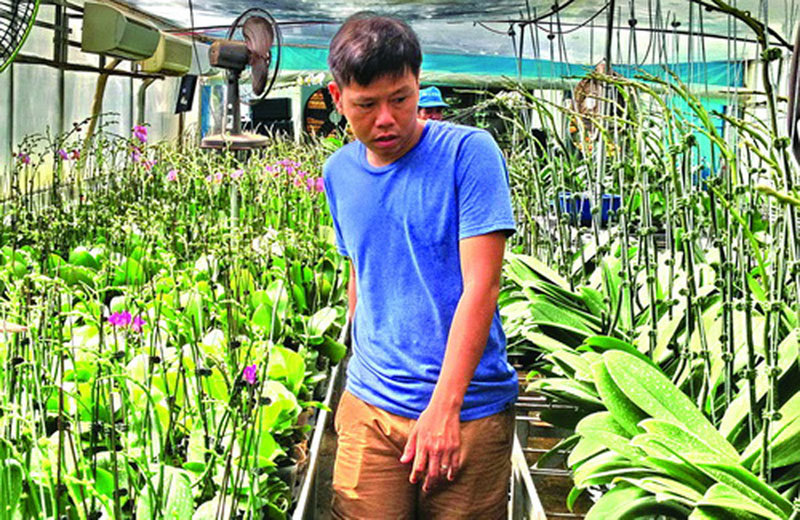 Tây Ninh: Vườn lan ‘quý tộc’ tiền tỷ của chàng thạc sĩ xây dựng