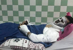 Bộ Công an vào cuộc điều tra kẻ tạt axit, cắt gân chân Việt kiều