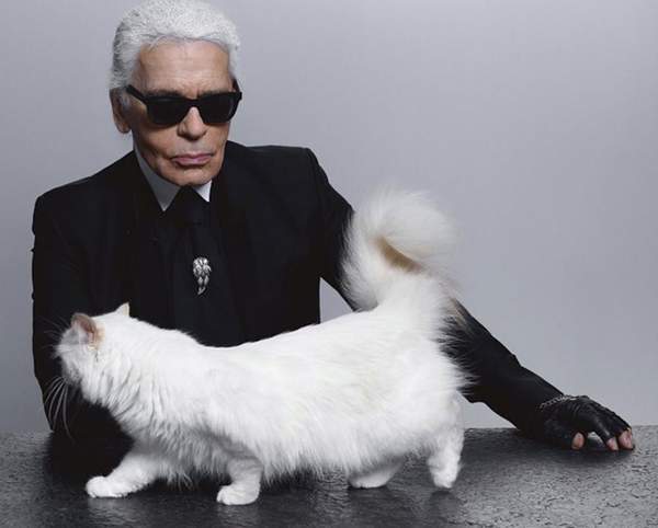 Ông hoàng thời trang có thể để lại tài sản 195 triệu USD cho ‘người tình’ mèo