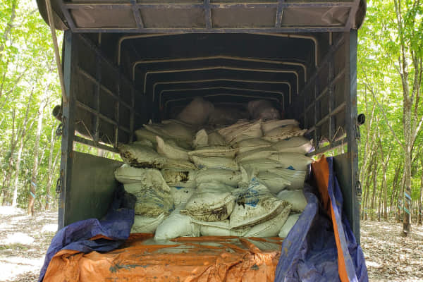 100 tấn bùn thải đổ trộm trong rừng cao su