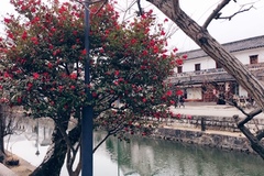 Gặp chồng ở khách sạn, nữ giảng viên hành xử bất ngờ