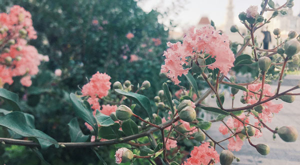 Bất ngờ được tặng 1 tỷ, người phụ nữ khóc cạn nước mắt