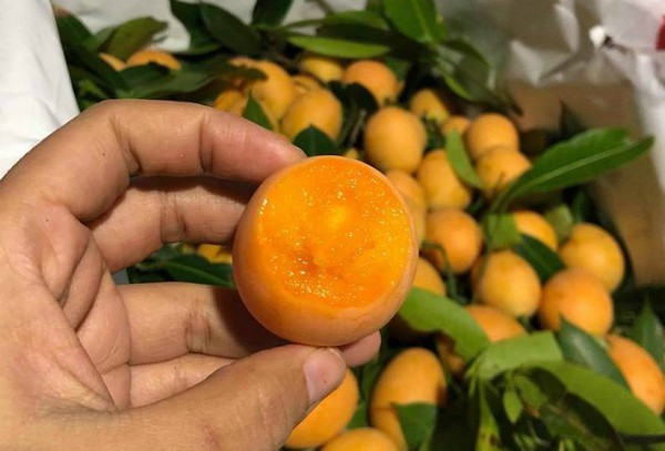 Kỳ lạ loại quả ăn vặt giá 'chát', chưa kịp về đã hết hàng