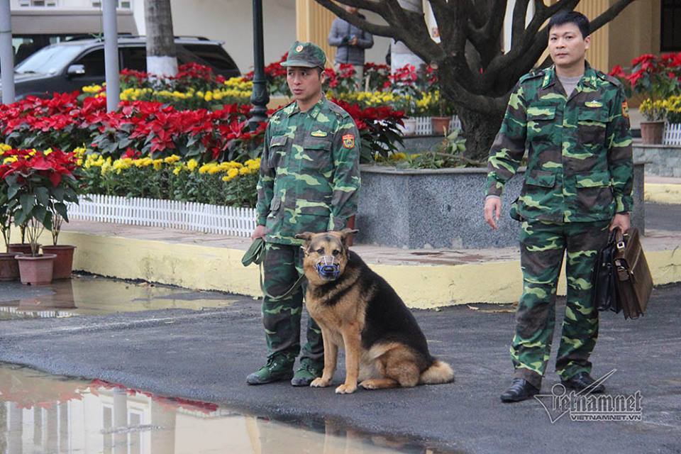 Chó nghiệp vụ tuần tra quanh ga Đồng Đăng